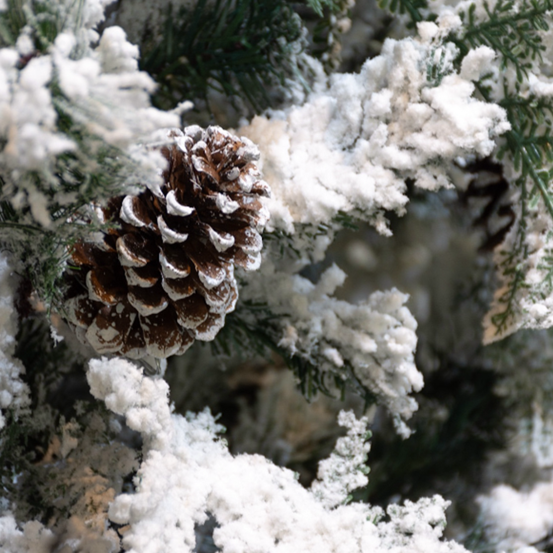 ARBOL NORD NEVADO